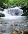 /album/promocion-del-mes/boquete2-243x300-jpg1/